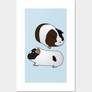 Guinea Pig Posters and Art